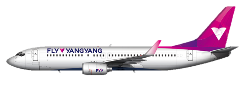 South Korea's FlyYangyang rebrands ahead of reapplication