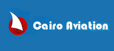 Image result for cairo aviation logo